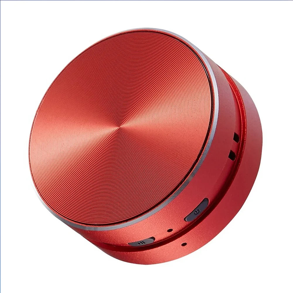 Hummingbird Bone Speaker