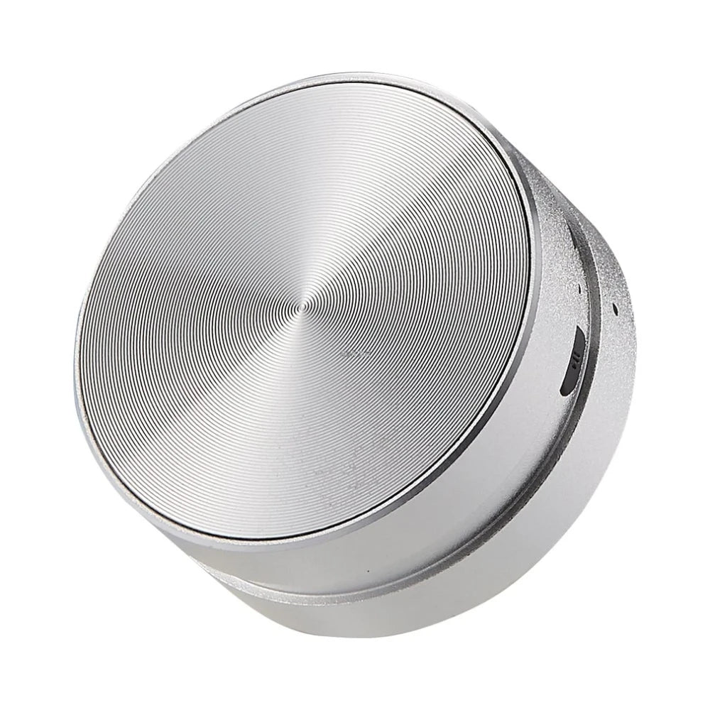 Hummingbird Bone Speaker