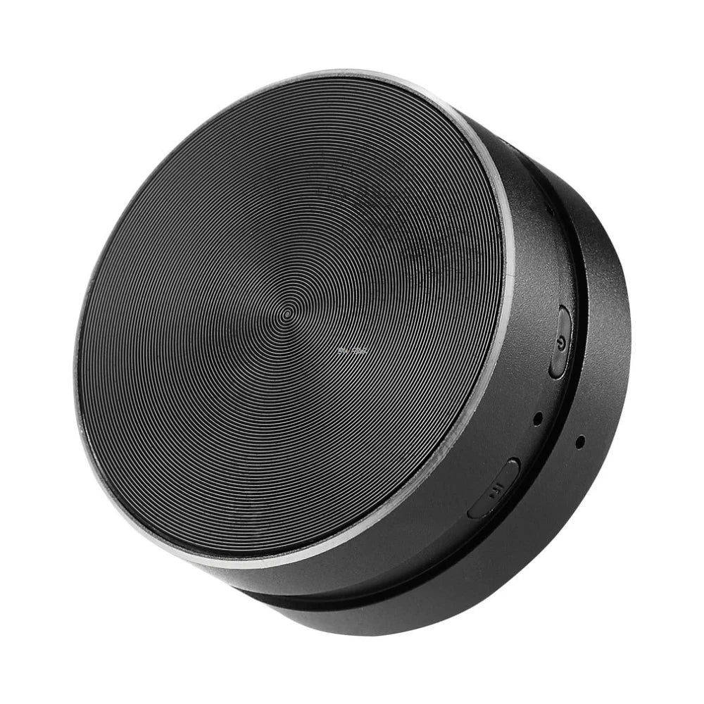 Hummingbird Bone Speaker