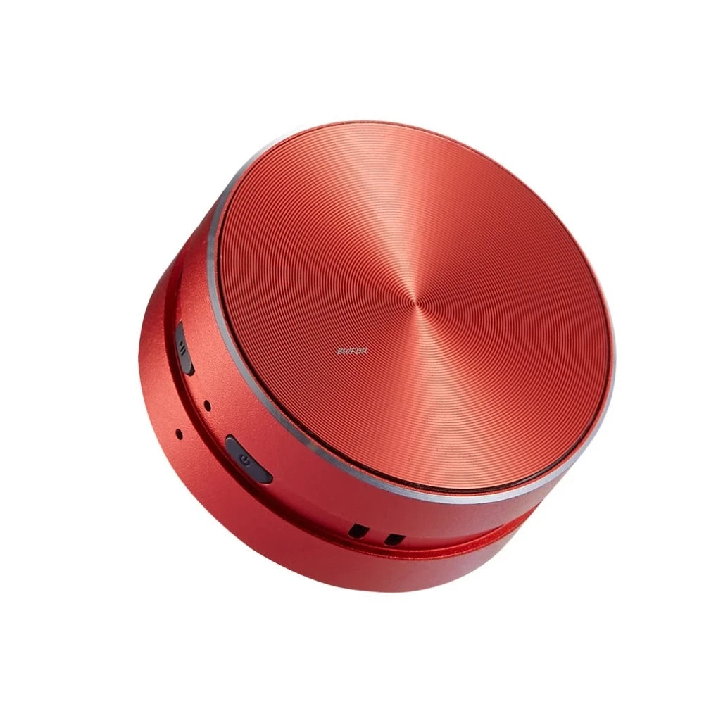 Hummingbird Bone Speaker